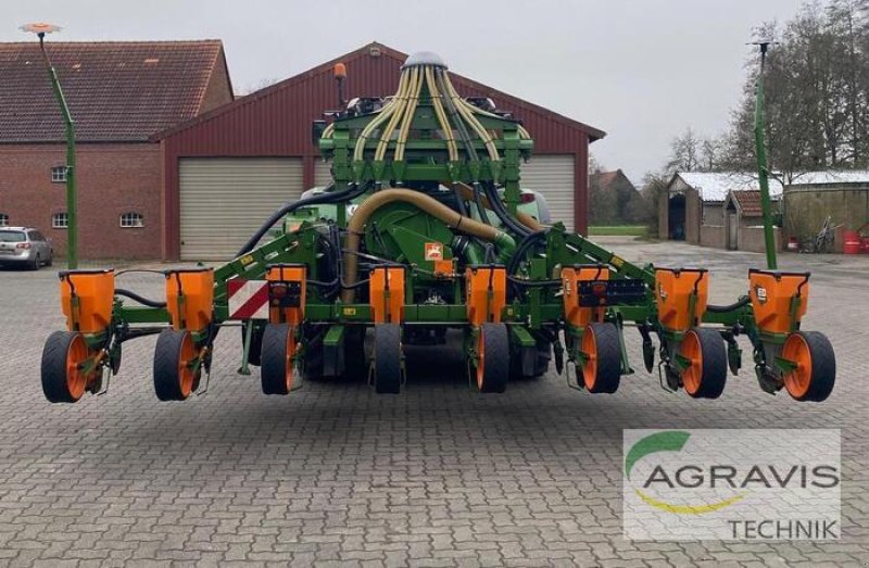 Einzelkornsägerät typu Amazone ED 602 K, Gebrauchtmaschine v Beckum (Obrázek 2)