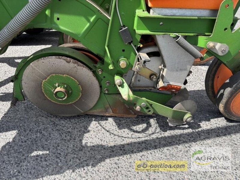 Einzelkornsägerät des Typs Amazone ED 602 K, Gebrauchtmaschine in Meppen (Bild 5)