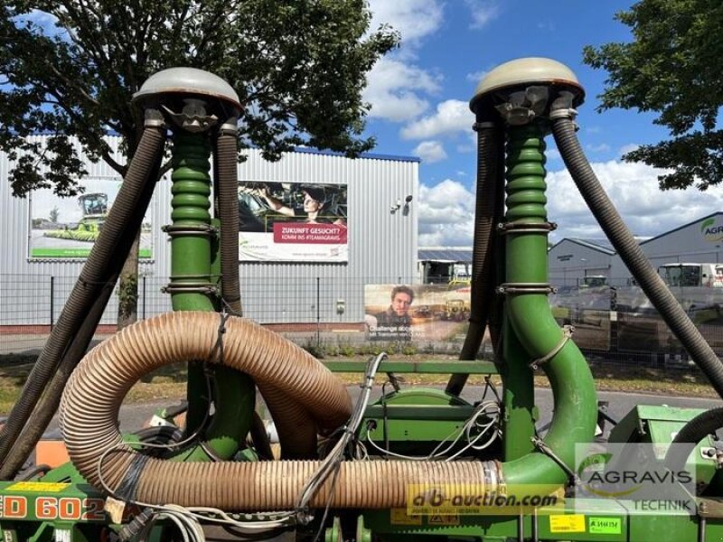 Einzelkornsägerät des Typs Amazone ED 602 K, Gebrauchtmaschine in Meppen (Bild 7)