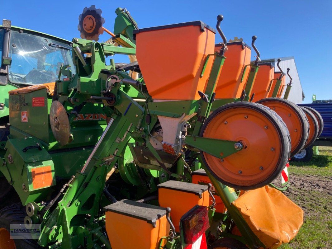 Einzelkornsägerät of the type Amazone ED 602-K, Gebrauchtmaschine in Aurich (Picture 8)