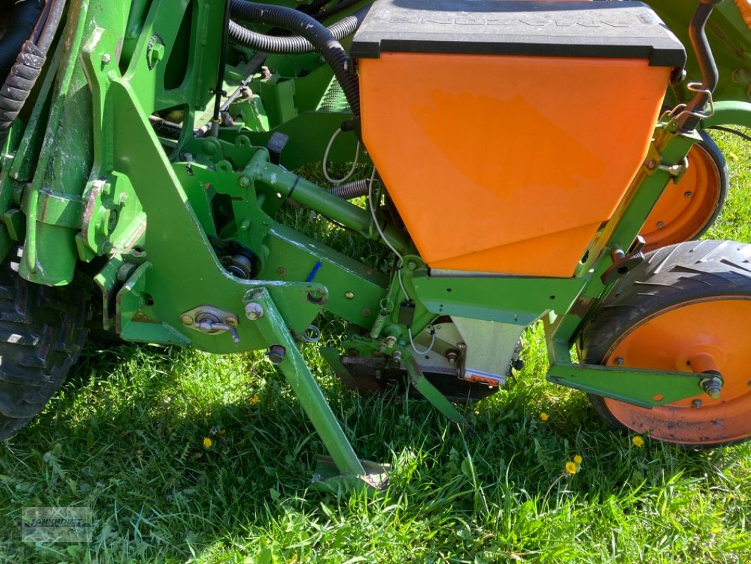 Einzelkornsägerät of the type Amazone ED 602-K, Gebrauchtmaschine in Aurich (Picture 11)