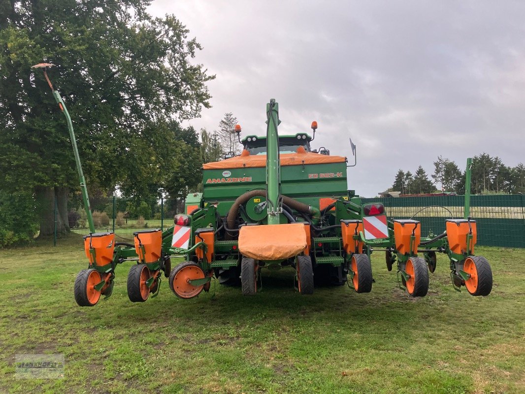 Einzelkornsägerät typu Amazone ED 602 K, Gebrauchtmaschine v Aurich (Obrázek 3)