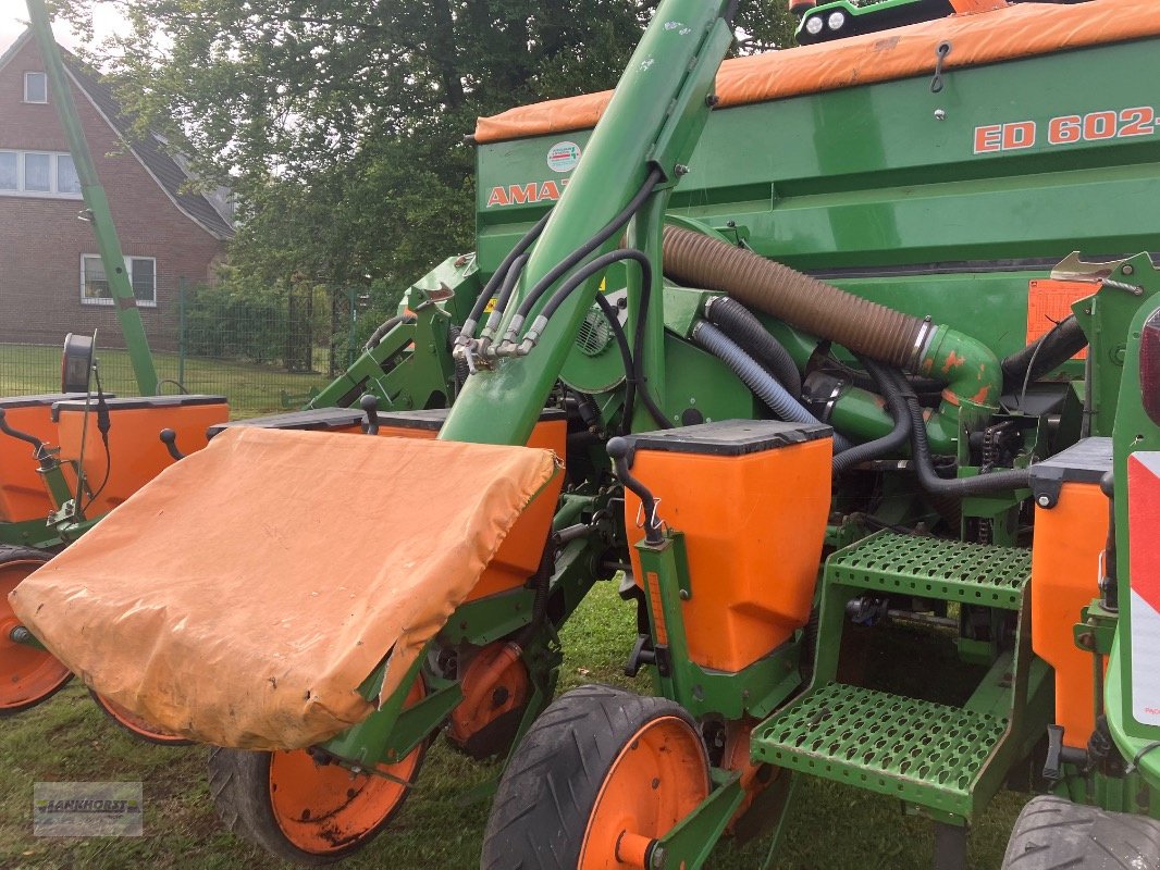 Einzelkornsägerät typu Amazone ED 602 K, Gebrauchtmaschine v Aurich (Obrázek 10)