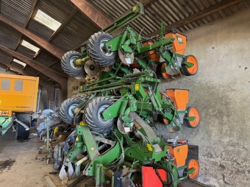 Einzelkornsägerät of the type Amazone ED 902 K uden gødningsudstyr, Gebrauchtmaschine in Holstebro (Picture 1)