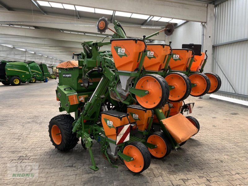 Einzelkornsägerät of the type Amazone ED602K Classic, Gebrauchtmaschine in Spelle (Picture 4)