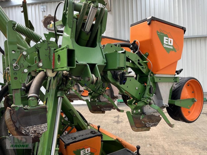 Einzelkornsägerät of the type Amazone ED602K Classic, Gebrauchtmaschine in Spelle (Picture 7)