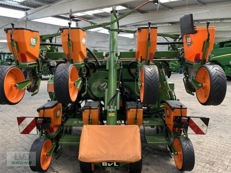 Einzelkornsägerät of the type Amazone ED602K Classic, Gebrauchtmaschine in Spelle (Picture 11)