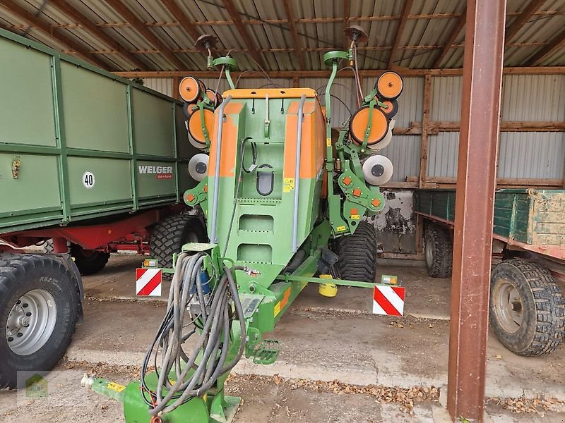 Einzelkornsägerät a típus Amazone EDC 6000-TC 8-75, Gebrauchtmaschine ekkor: Salsitz (Kép 1)