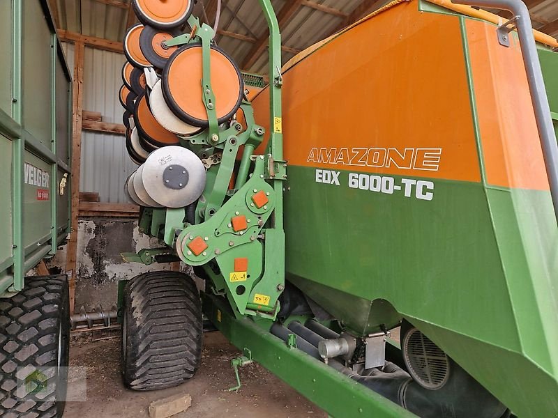 Einzelkornsägerät of the type Amazone EDC 6000-TC 8-75, Gebrauchtmaschine in Salsitz (Picture 10)