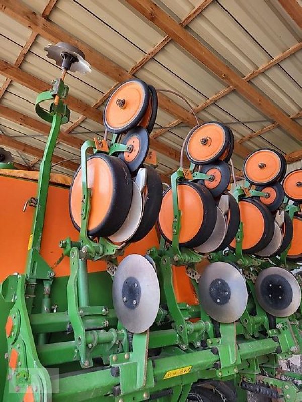 Einzelkornsägerät of the type Amazone EDC 6000-TC 8-75, Gebrauchtmaschine in Salsitz (Picture 18)