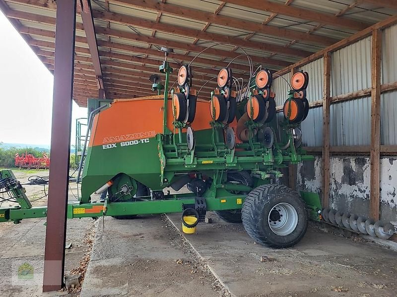 Einzelkornsägerät of the type Amazone EDC 6000-TC 8-75, Gebrauchtmaschine in Salsitz (Picture 26)