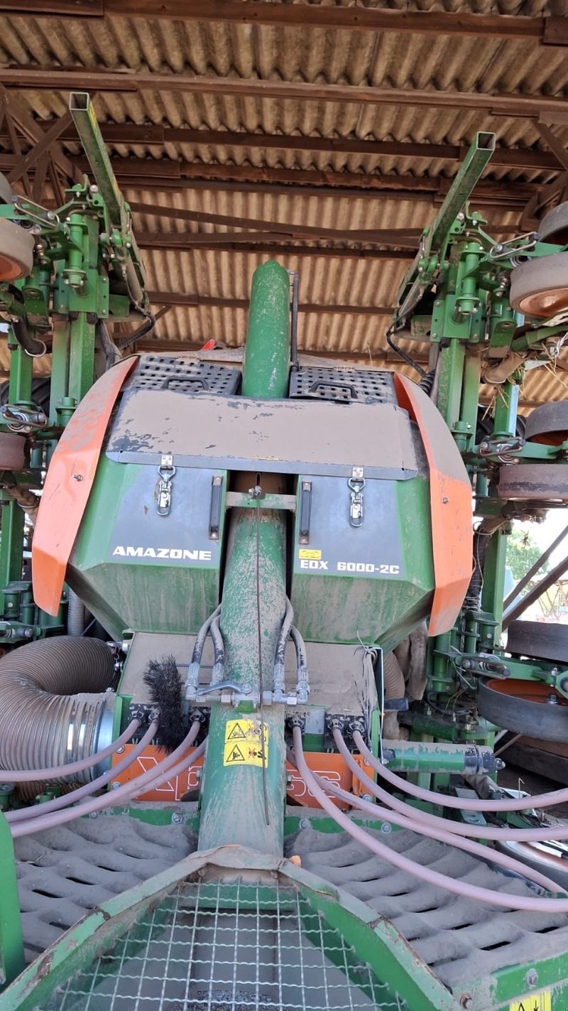 Einzelkornsägerät van het type Amazone EDX 6000-2, Gebrauchtmaschine in Angermünde/OT Kerkow (Foto 15)