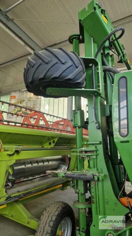 Einzelkornsägerät typu Amazone EDX 6000-2C, Gebrauchtmaschine v Beelen (Obrázek 2)