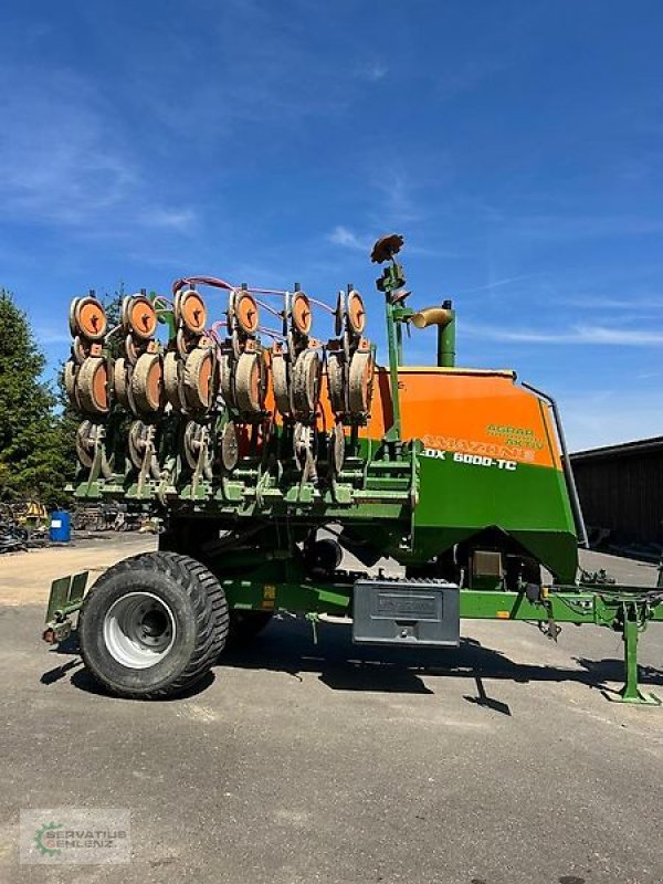 Einzelkornsägerät of the type Amazone EDX 6000-TC 50cm 12 Reihen, Gebrauchtmaschine in Rittersdorf (Picture 1)