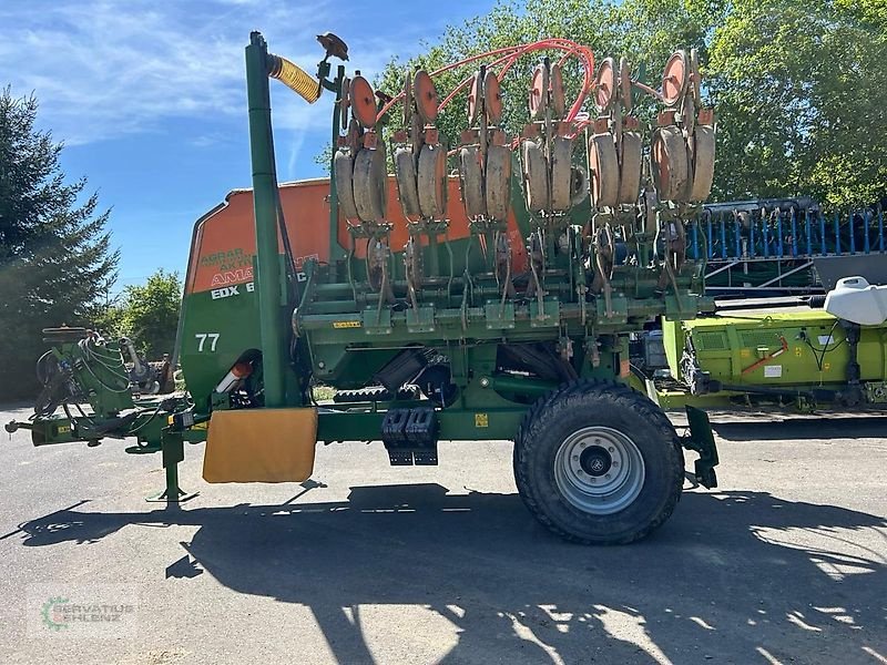 Einzelkornsägerät of the type Amazone EDX 6000-TC 50cm 12 Reihen, Gebrauchtmaschine in Rittersdorf (Picture 5)