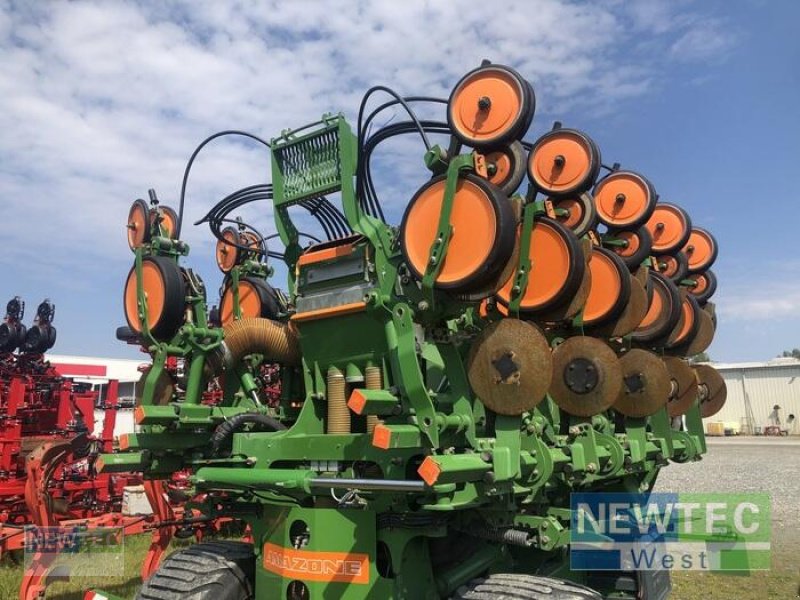 Einzelkornsägerät des Typs Amazone EDX 6000-TC, Gebrauchtmaschine in Peine (Bild 3)