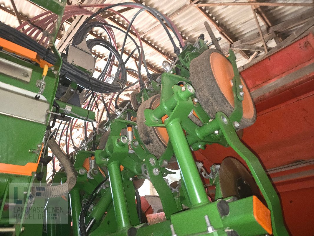 Einzelkornsägerät a típus Amazone EDX 6000-TC, Gebrauchtmaschine ekkor: Burg/Spreewald (Kép 10)