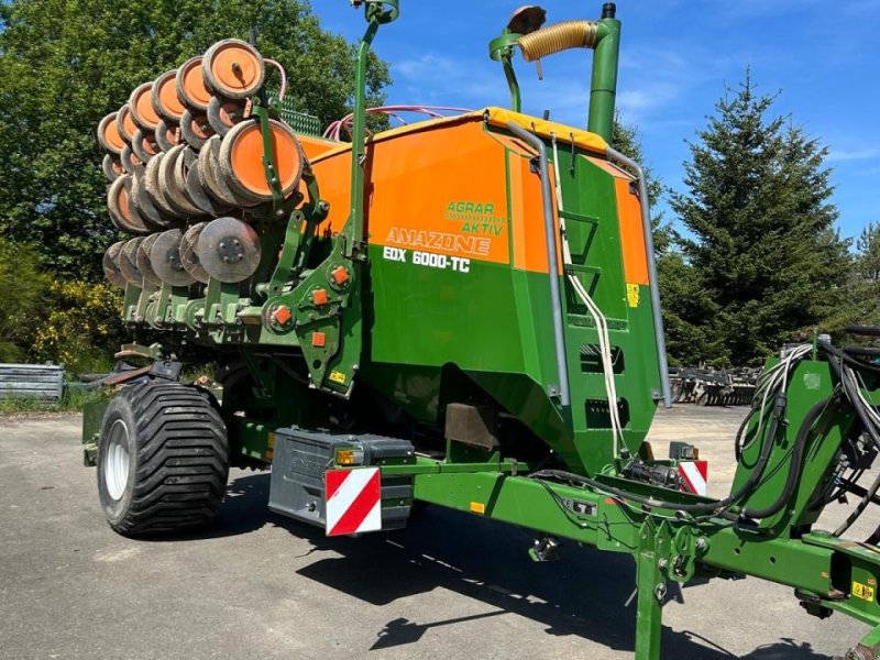 Einzelkornsägerät of the type Amazone EDX 6000-TC, Gebrauchtmaschine in Könnern (Picture 1)
