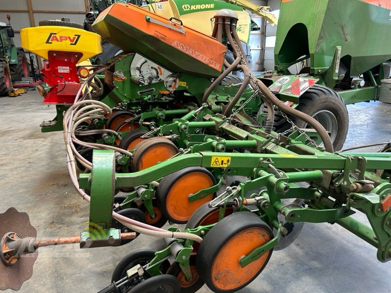 Einzelkornsägerät of the type Amazone EDX 6000-TC, Gebrauchtmaschine in Albersdorf (Picture 5)