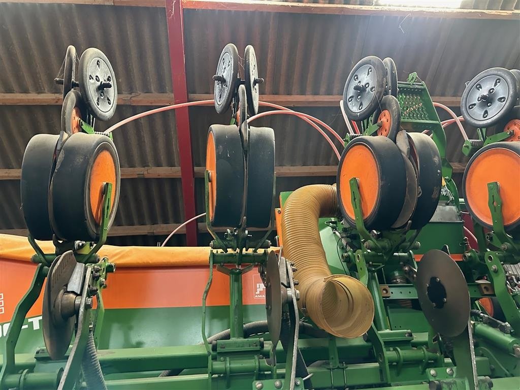 Einzelkornsägerät of the type Amazone EDX 9000 TC Med sektionskontrol, Gebrauchtmaschine in Aabenraa (Picture 2)