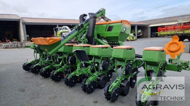 Einzelkornsägerät del tipo Amazone PRECEA 6000-2 CC SUPER, Neumaschine In Melle-Wellingholzhausen (Immagine 4)