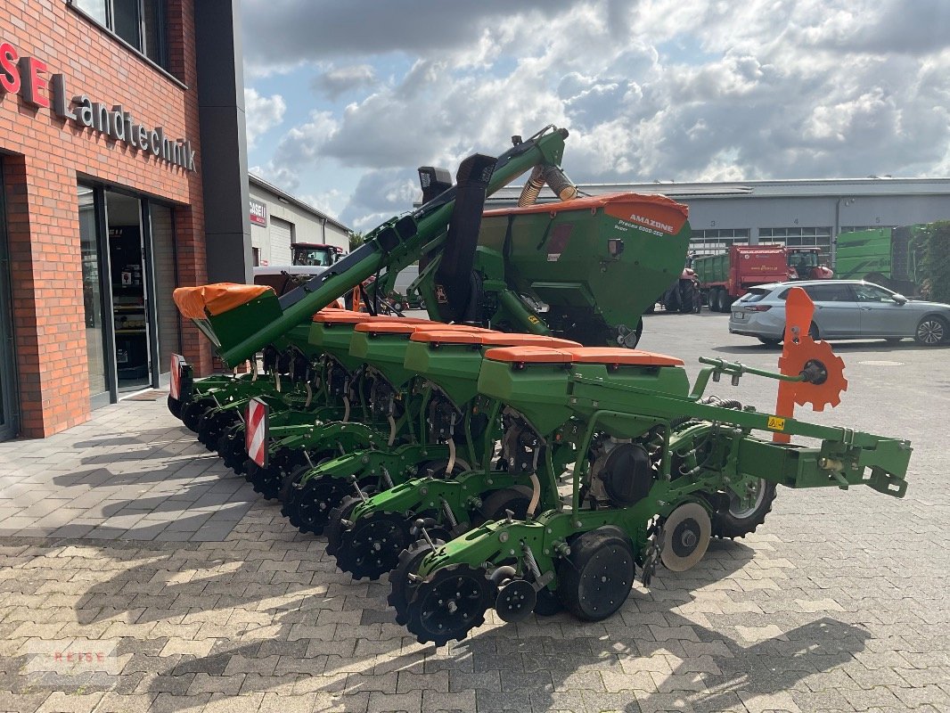 Einzelkornsägerät del tipo Amazone Precea 6000-2CC Super, Gebrauchtmaschine In Lippetal / Herzfeld (Immagine 7)