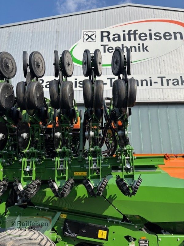 Einzelkornsägerät a típus Amazone Precea 6000 -TCC, Neumaschine ekkor: Buttelstedt (Kép 7)
