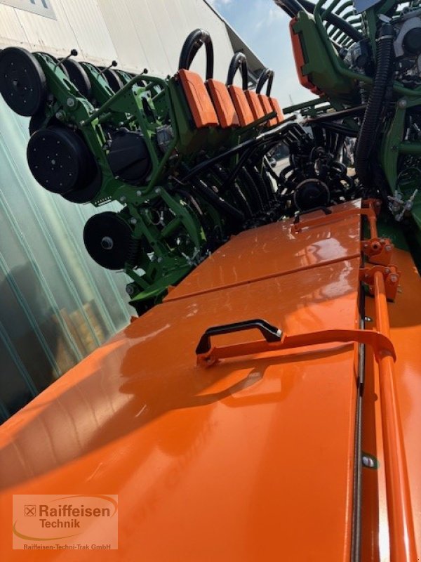 Einzelkornsägerät a típus Amazone Precea 6000 -TCC, Neumaschine ekkor: Buttelstedt (Kép 9)