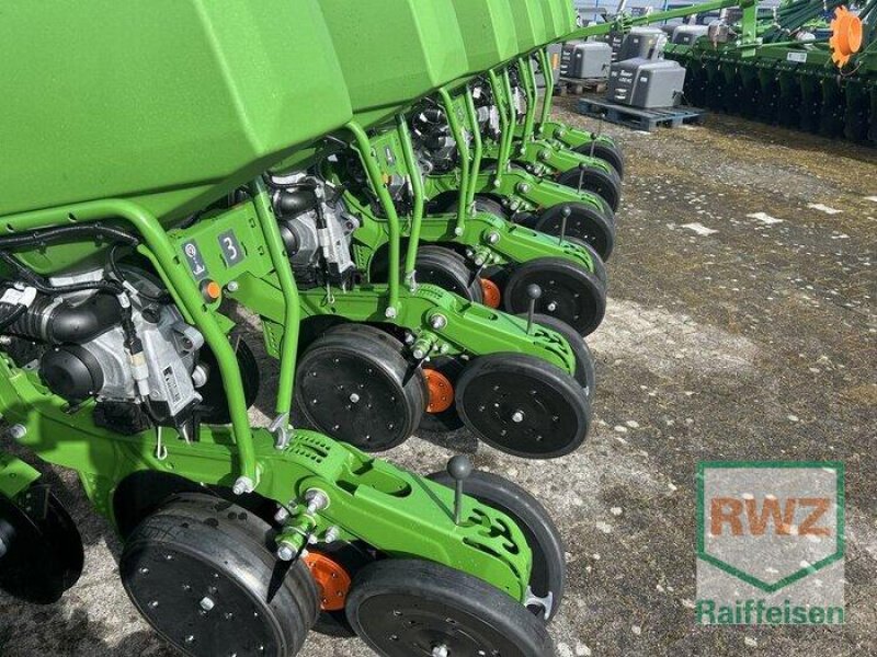 Einzelkornsägerät of the type Amazone Precea 6000 - TCC, Vorführmaschine in Geldern (Picture 5)