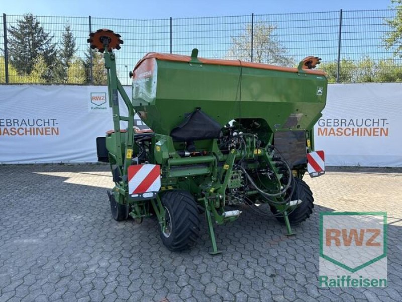 Einzelkornsägerät des Typs Amazone Precea, Gebrauchtmaschine in Wittlich (Bild 1)