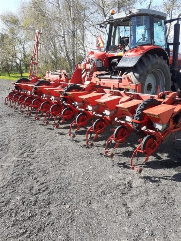 Einzelkornsägerät tipa Becker 12 rækket Utrolig velholdt, Gebrauchtmaschine u øster ulslev (Slika 2)