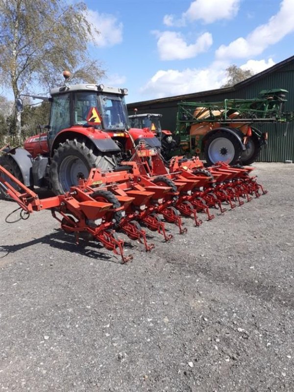 Einzelkornsägerät tipa Becker 12 rækket Utrolig velholdt, Gebrauchtmaschine u øster ulslev (Slika 1)