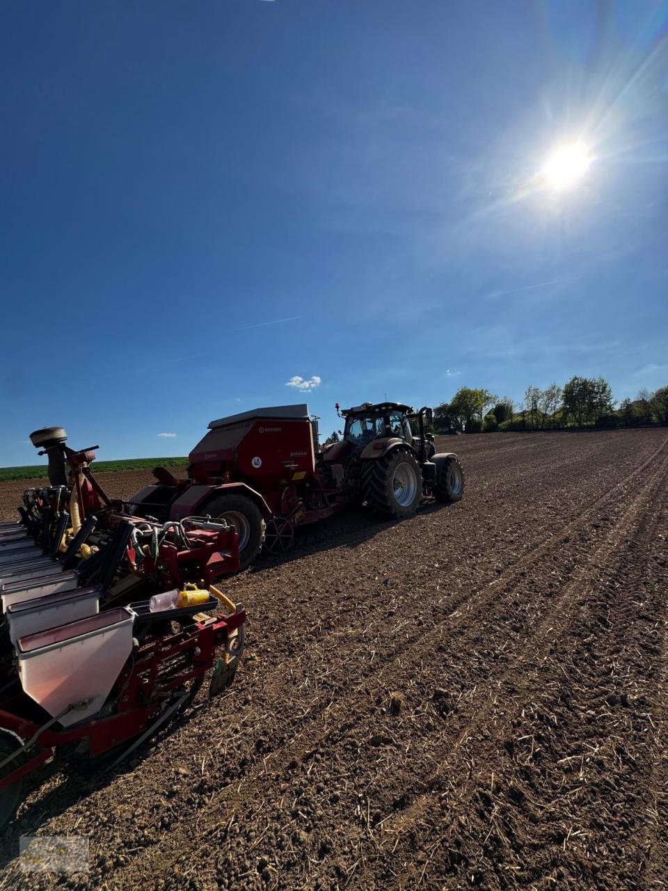 Einzelkornsägerät des Typs Becker Aeromat MaxiLine 12 Reihen, Gebrauchtmaschine in Pfreimd (Bild 4)