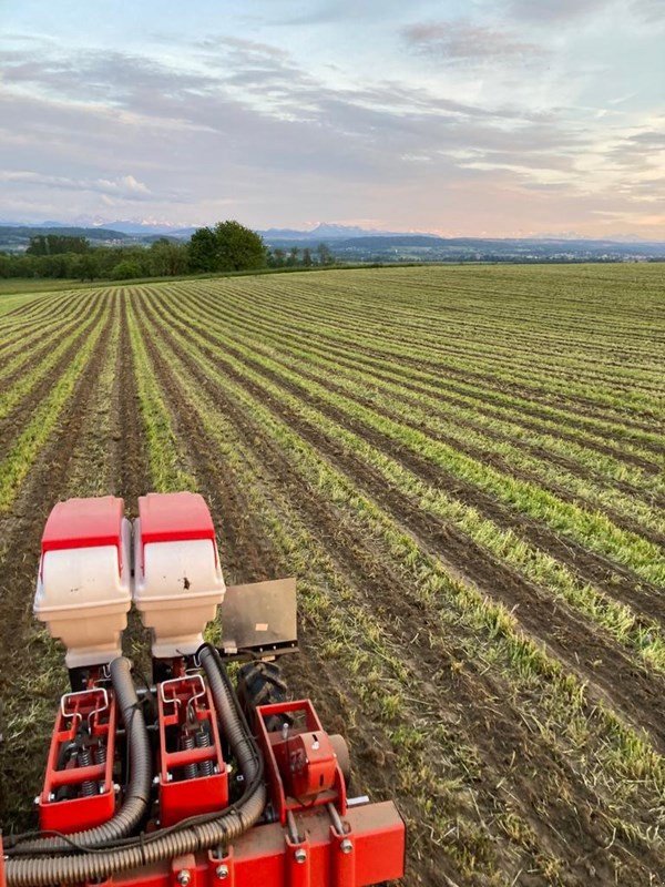 Einzelkornsägerät typu Fobro Seedy 4x2er Twin Row, Neumaschine w Langnau b. Reiden (Zdjęcie 2)
