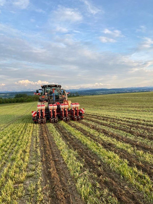 Einzelkornsägerät typu Fobro Seedy 4x2er Twin Row, Neumaschine w Langnau b. Reiden (Zdjęcie 5)