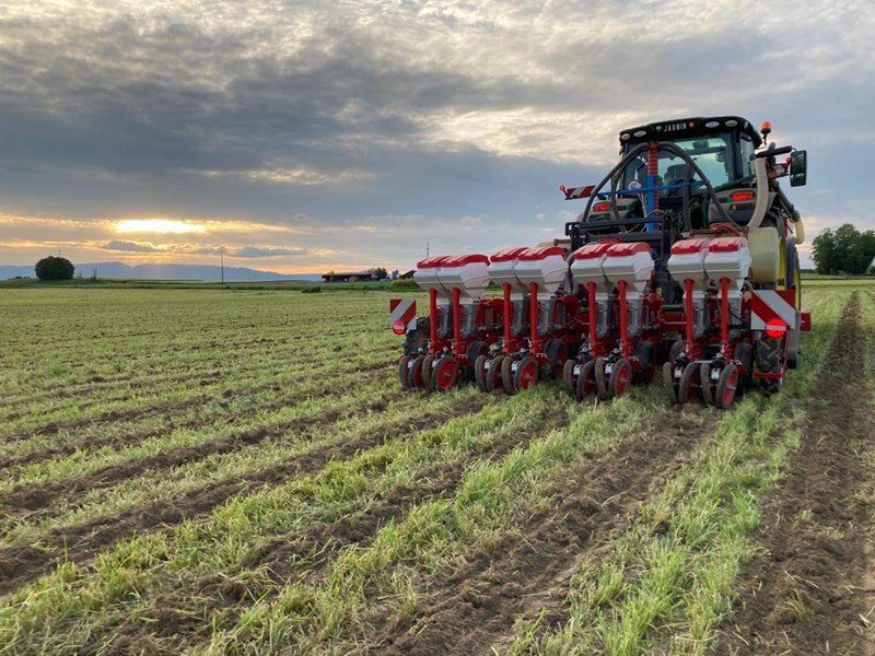 Einzelkornsägerät typu Fobro Seedy 4x2er Twin Row, Neumaschine w Langnau b. Reiden (Zdjęcie 7)