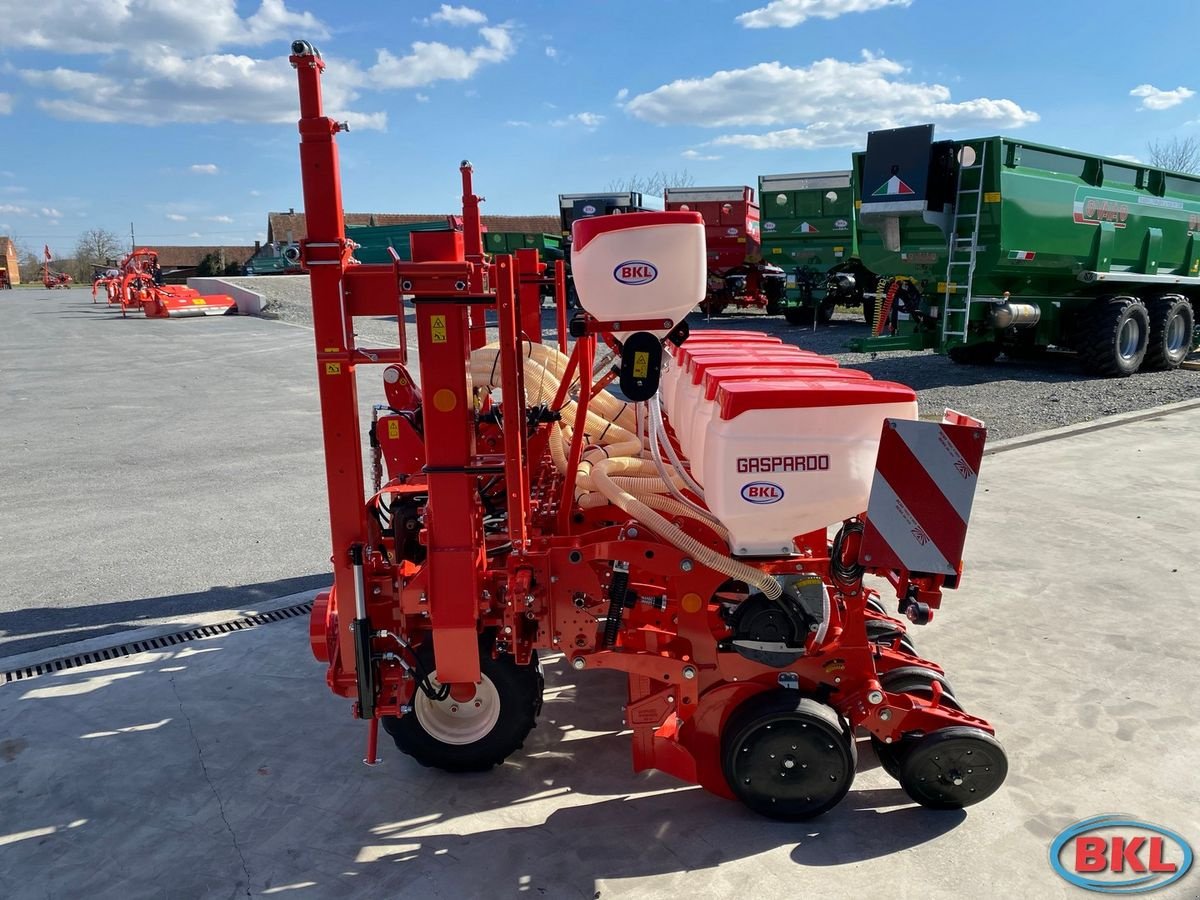 Einzelkornsägerät des Typs Gaspardo Magica 7-reihige Einzelkornsämaschine, Neumaschine in Rovisce (Bild 6)