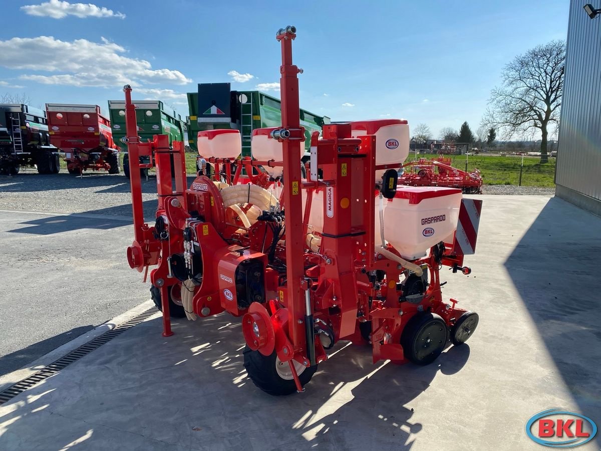 Einzelkornsägerät des Typs Gaspardo Magica 7-reihige Einzelkornsämaschine, Neumaschine in Rovisce (Bild 4)