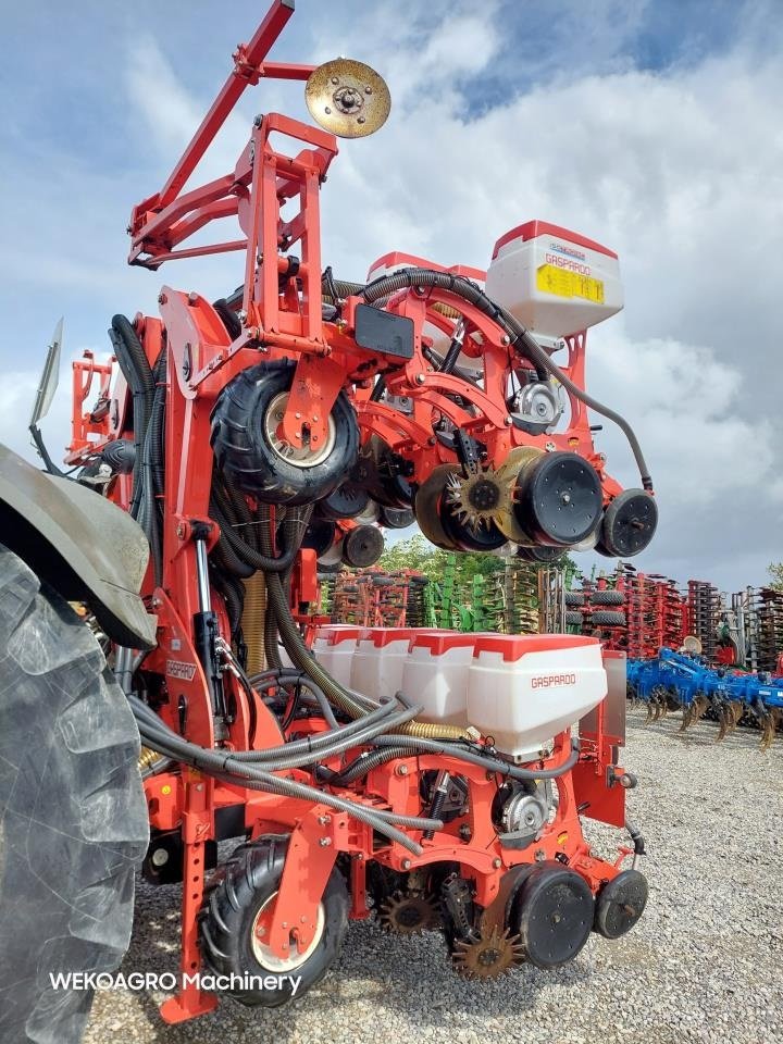 Einzelkornsägerät typu Gaspardo Manta IST 12 rækket til raps, Gebrauchtmaschine w Hammel (Zdjęcie 5)