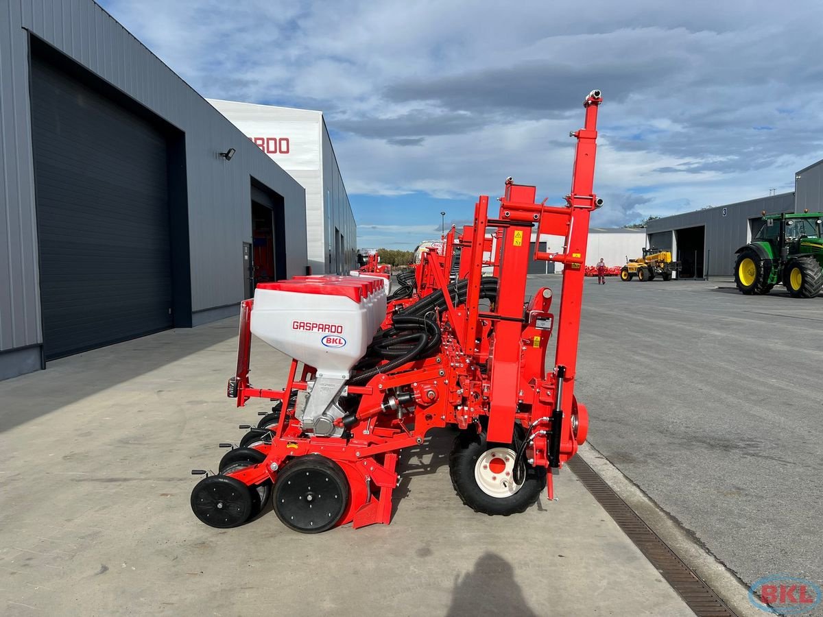 Einzelkornsägerät typu Gaspardo Maschio Magica MT 6 Base Hyd.verstelbar 45-75cm, Neumaschine v Rovisce (Obrázek 9)