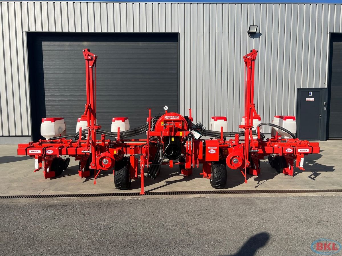 Einzelkornsägerät of the type Gaspardo Maschio Magica MT 8 BASE Hyd.verstelbar 45-75cm, Neumaschine in Rovisce (Picture 2)