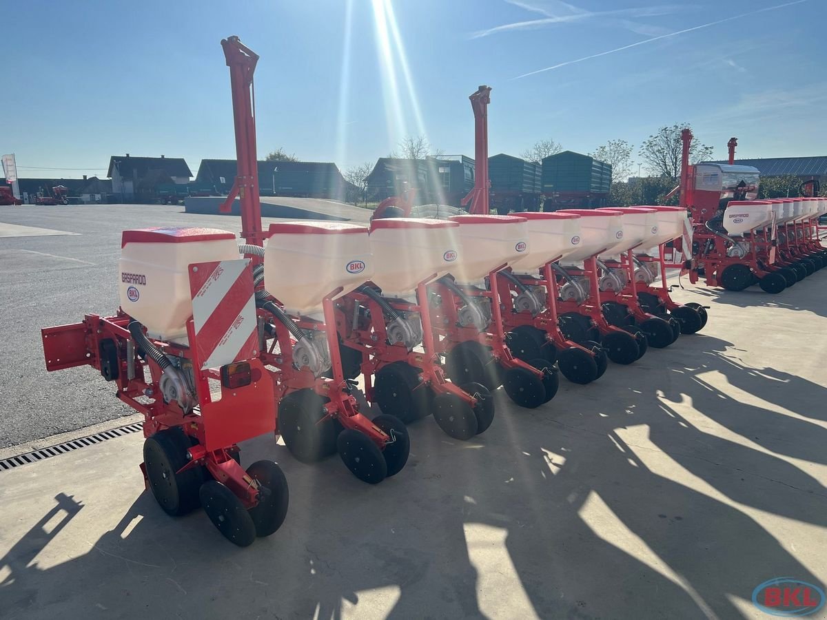 Einzelkornsägerät of the type Gaspardo Maschio Magica MT 8 BASE Hyd.verstelbar 45-75cm, Neumaschine in Rovisce (Picture 5)