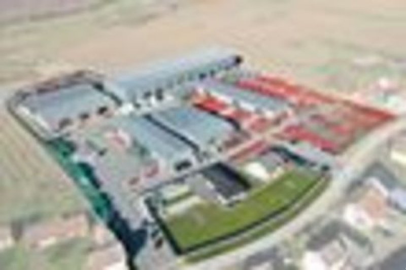 Einzelkornsägerät of the type Gaspardo Maschio Magica MT 8 BASE Hyd.verstelbar 45-75cm, Neumaschine in Rovisce (Picture 10)