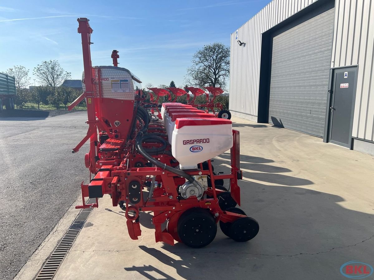 Einzelkornsägerät typu Gaspardo Maschio Magica MT 8 BBX Hyd.verstelbar 45-75cm, Neumaschine v Rovisce (Obrázek 8)