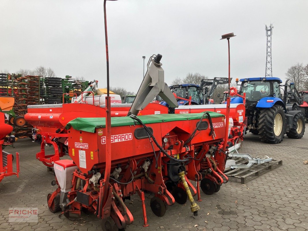 Einzelkornsägerät of the type Gaspardo ST 300 6-Reihig, Gebrauchtmaschine in Bockel - Gyhum (Picture 2)