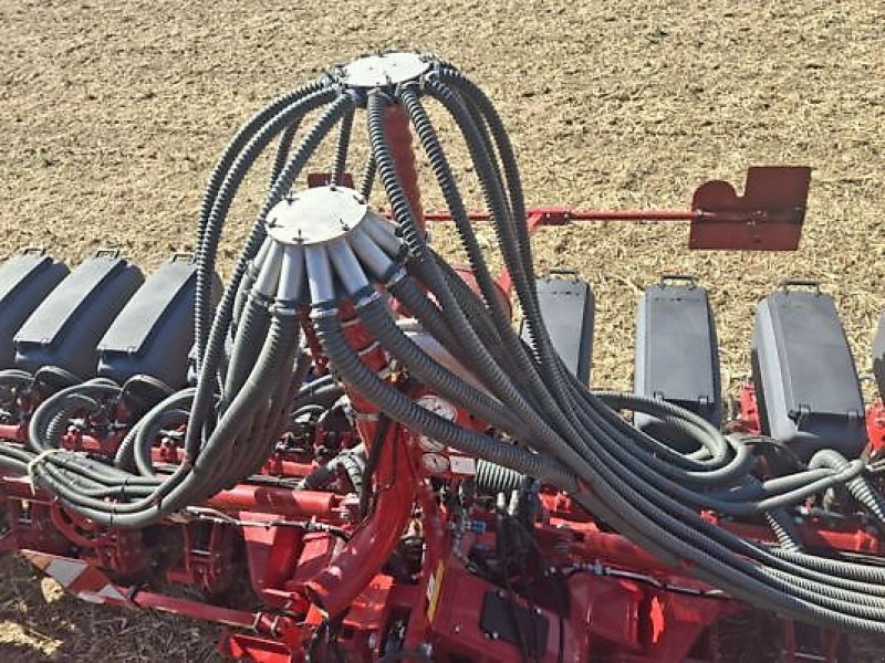 Einzelkornsägerät typu Horsch MAESTRO 12 RX, Gebrauchtmaschine v Monferran-Savès (Obrázek 2)