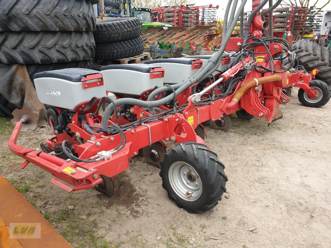 Einzelkornsägerät of the type Horsch Maestro 8 RC, Gebrauchtmaschine in Schenkenberg (Picture 2)