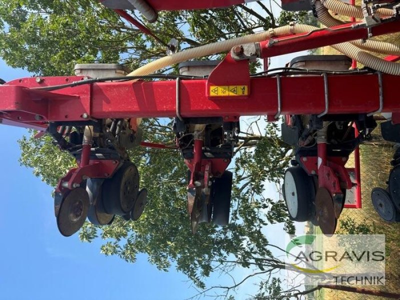 Einzelkornsägerät of the type Horsch MAISTRO 8 CC, Gebrauchtmaschine in Treuenbrietzen (Picture 15)