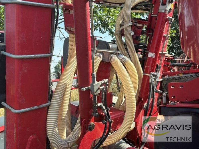 Einzelkornsägerät of the type Horsch MAISTRO 8 CC, Gebrauchtmaschine in Treuenbrietzen (Picture 16)