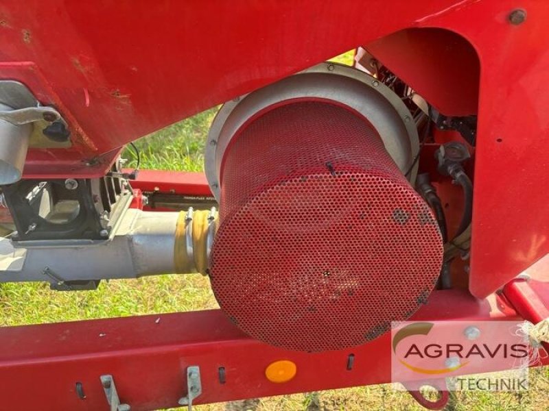 Einzelkornsägerät of the type Horsch MAISTRO 8 CC, Gebrauchtmaschine in Treuenbrietzen (Picture 11)